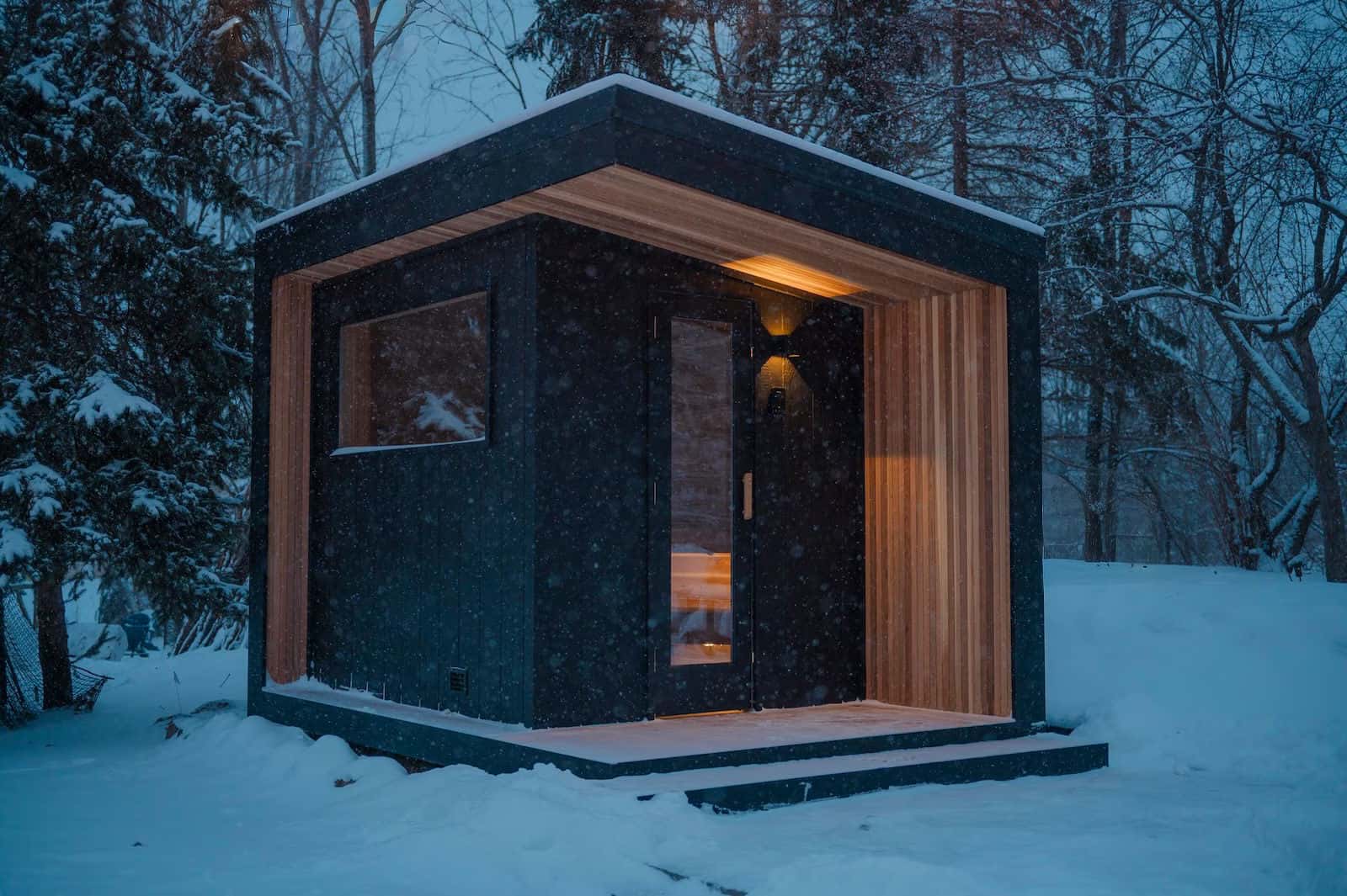 Hero image for Northern Steam